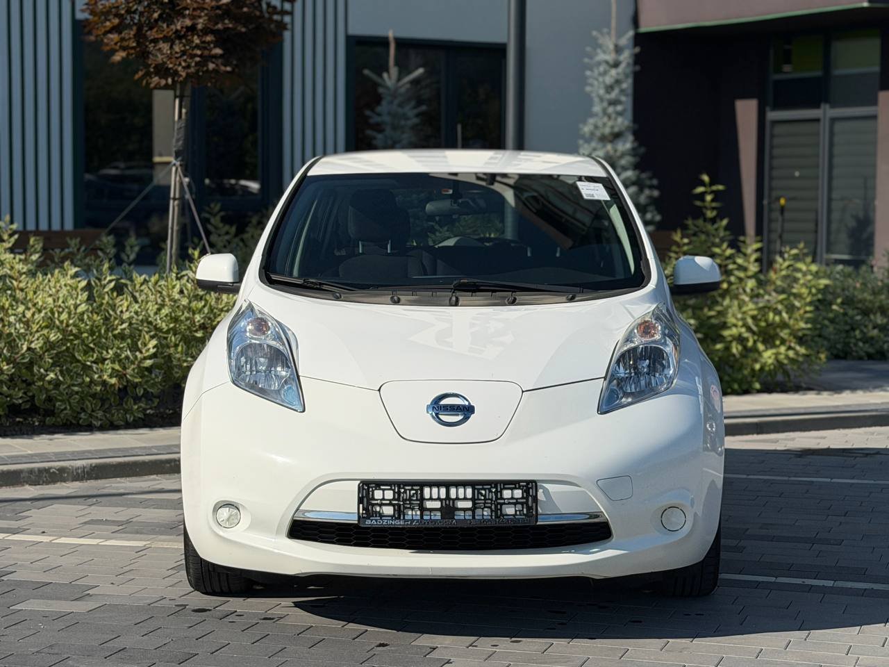 Фото - Nissan Leaf #2