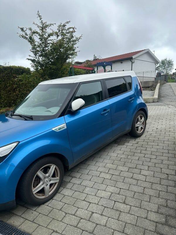 Фото - Kia Soul EV #7