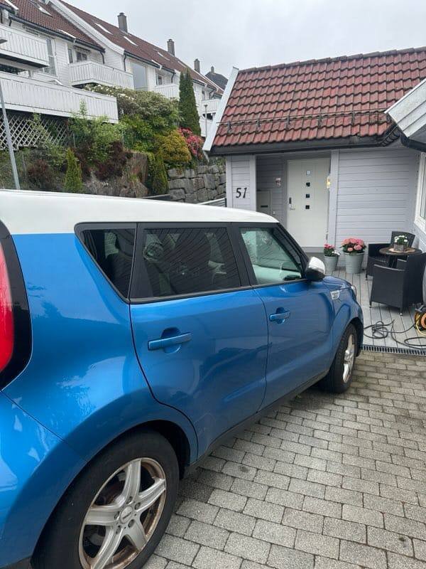 Фото - Kia Soul EV #8