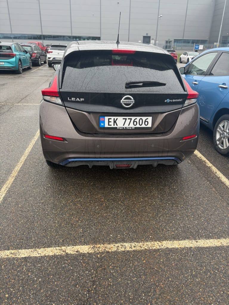 Фото - Nissan Leaf #2