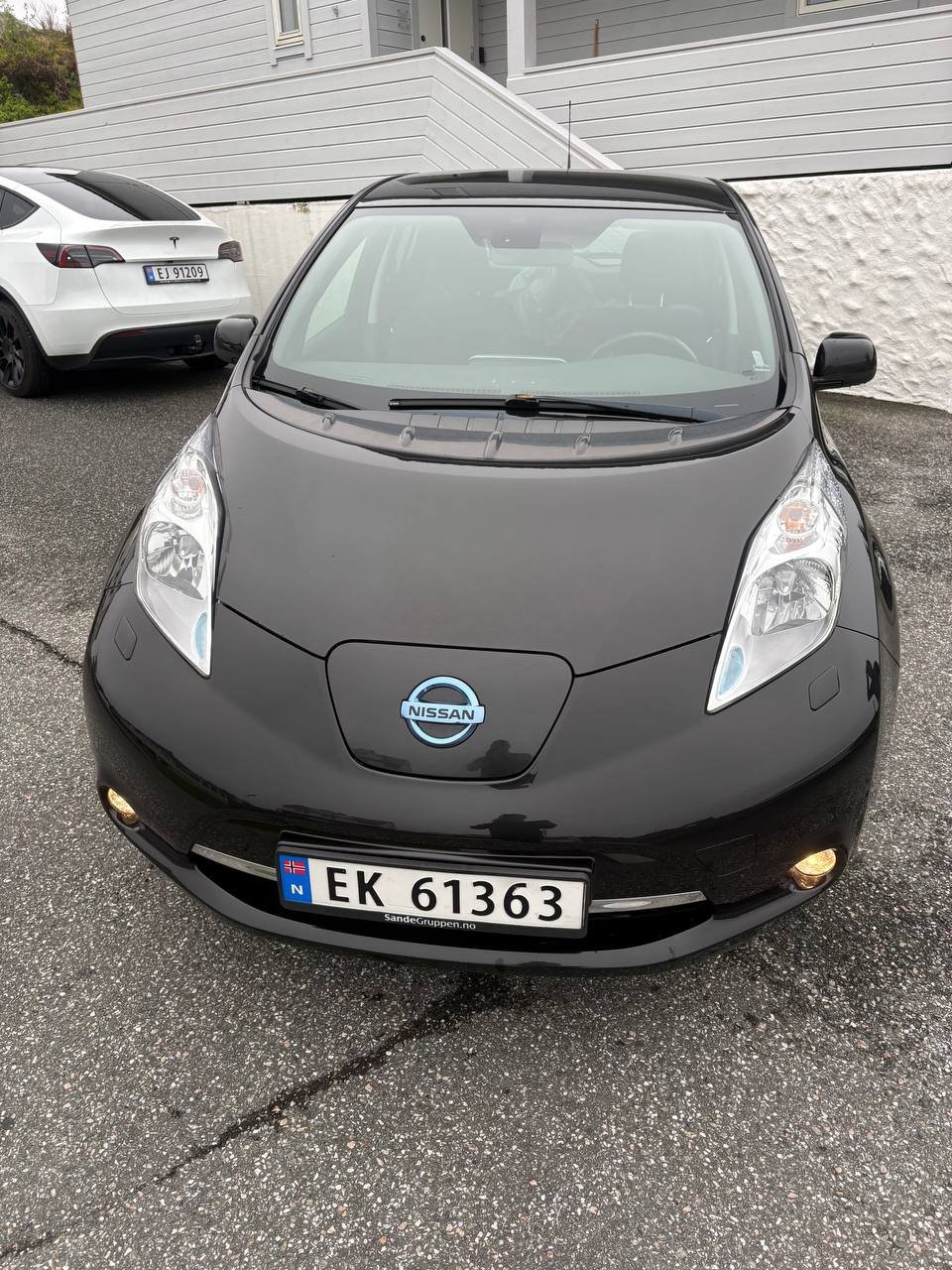 Фото - Nissan Leaf #2