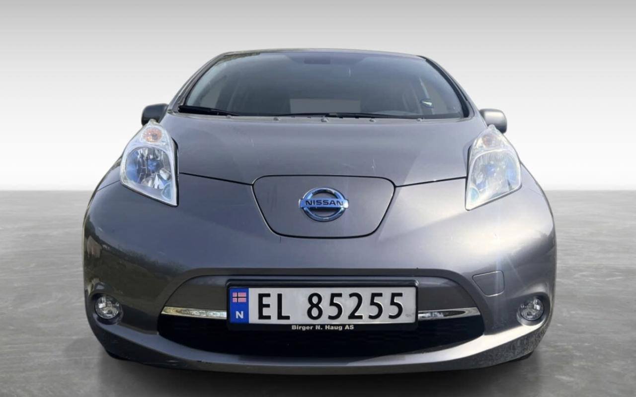 Фото - Nissan Leaf #2