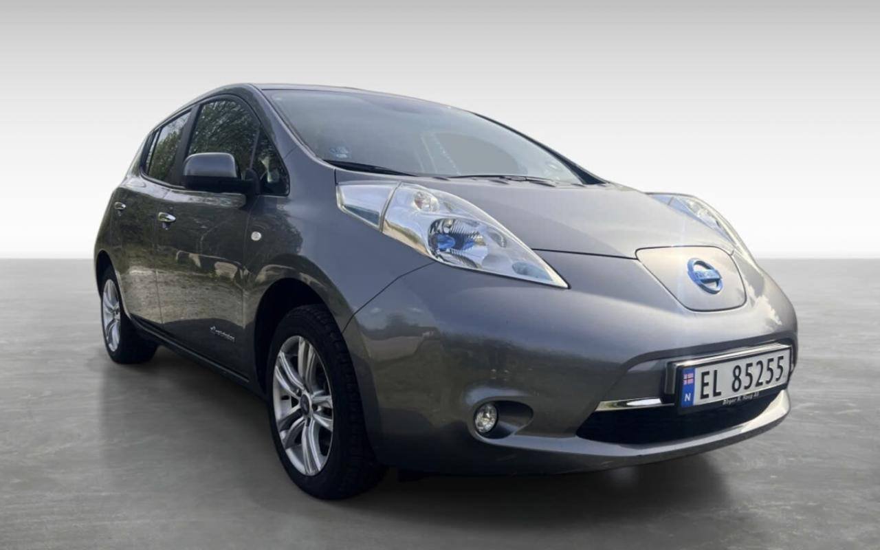 Фото - Nissan Leaf #3
