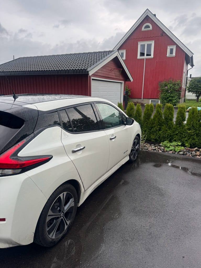 Фото - Nissan Leaf #2