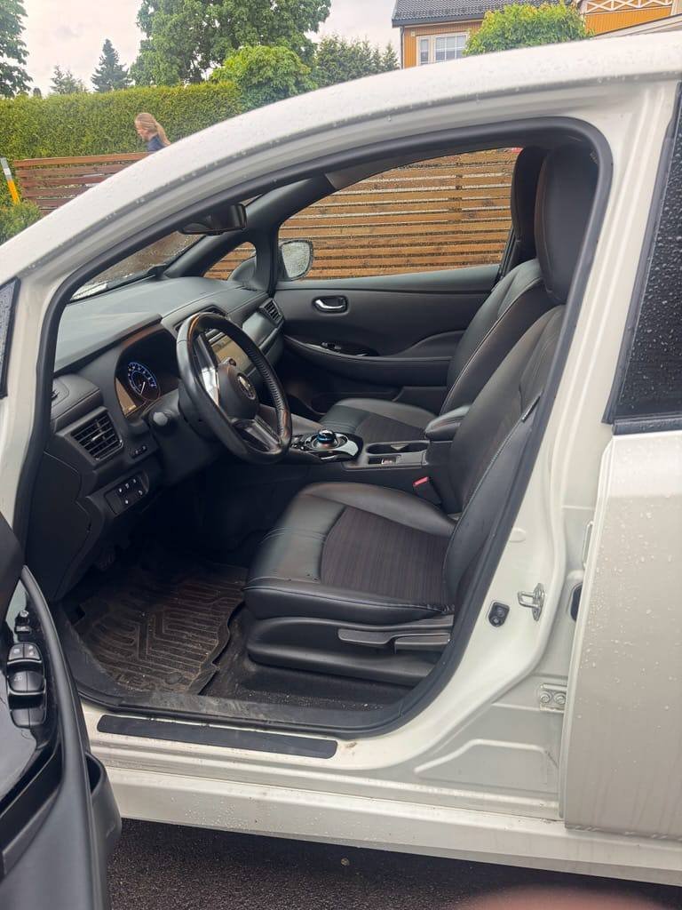 Фото - Nissan Leaf #3