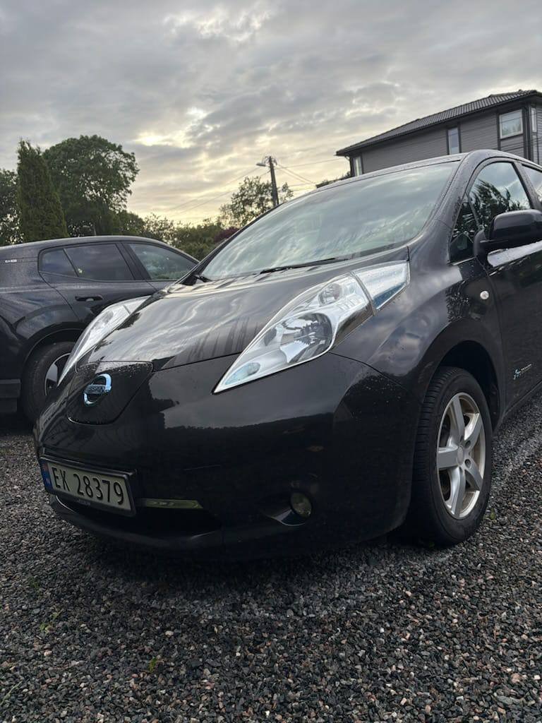 Фото - Nissan Leaf #2