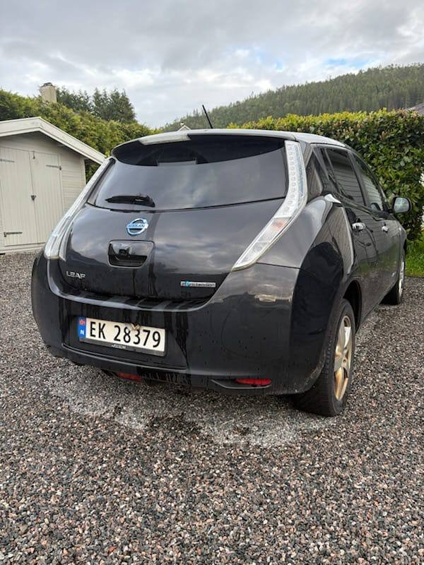 Фото - Nissan Leaf #4