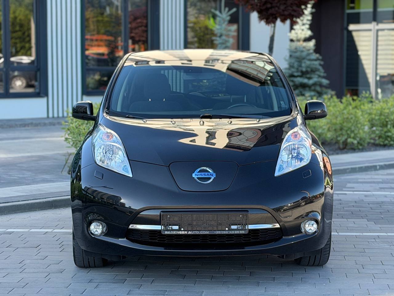 Фото - Nissan Leaf #2