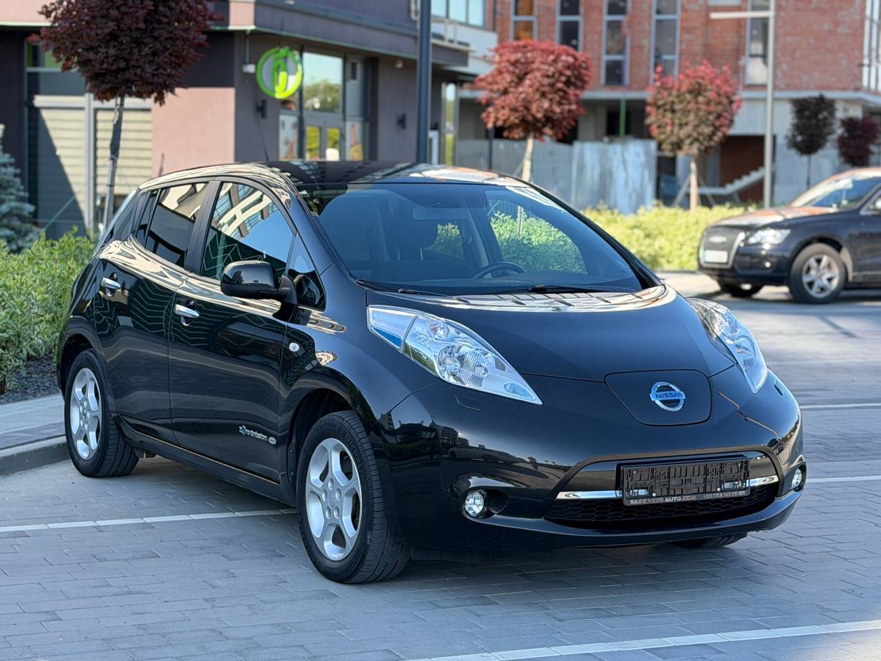 Фото - Nissan Leaf #3