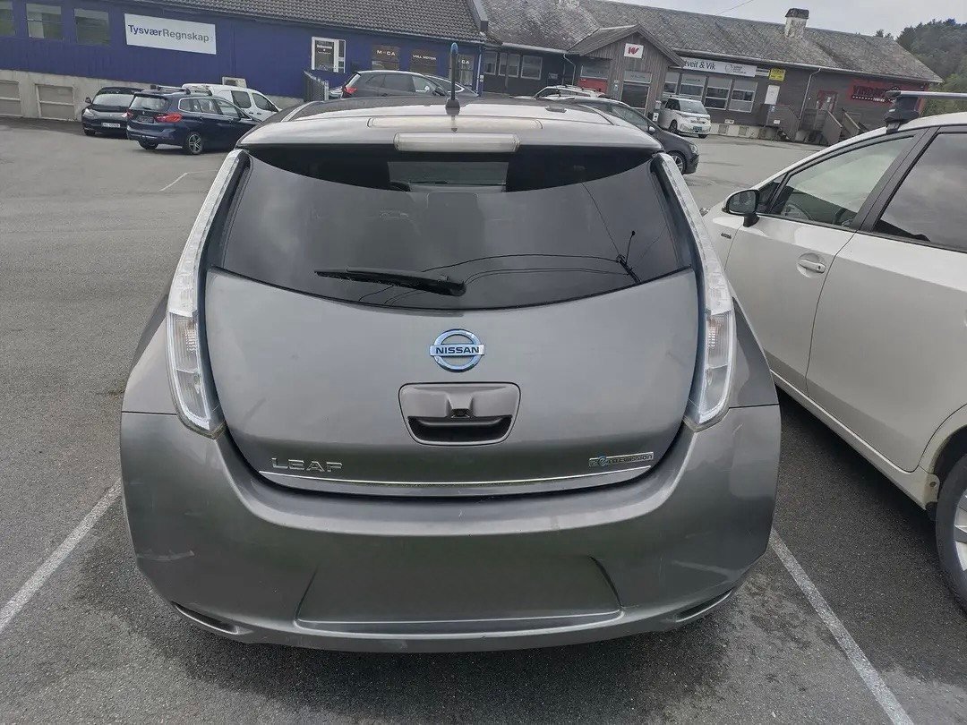 Фото - Nissan Leaf #3