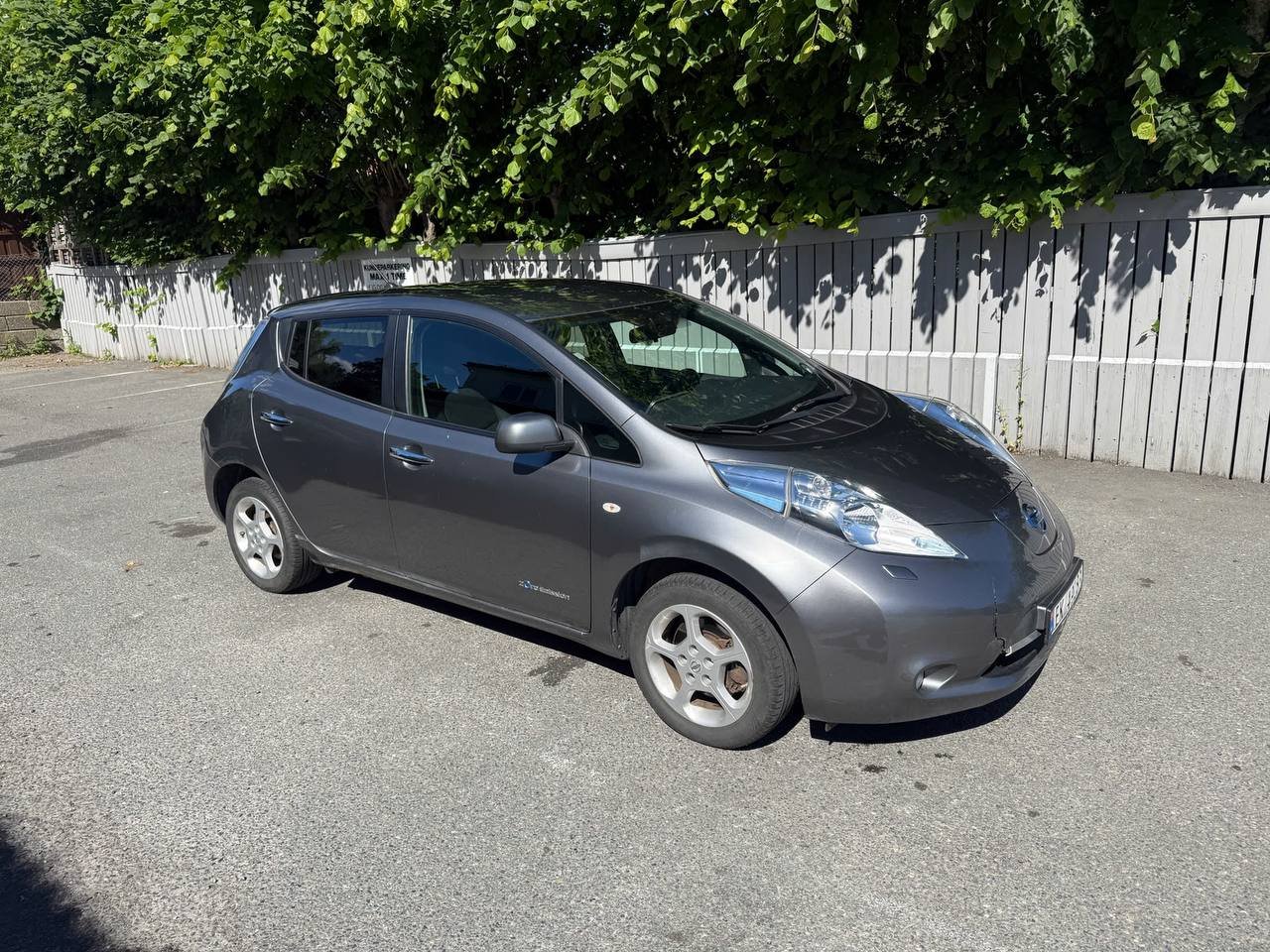 Фото - Nissan Leaf #2