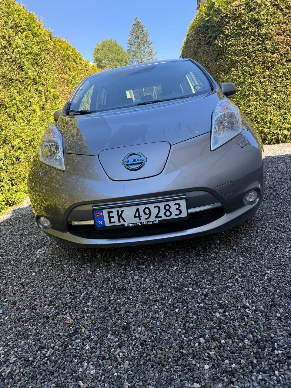 Фото - Nissan Leaf #4
