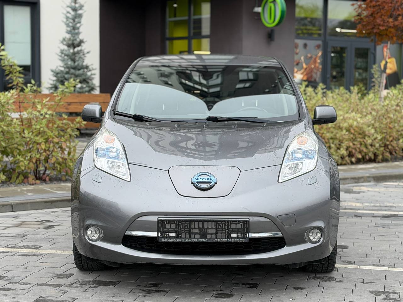 Фото - Nissan Leaf #2