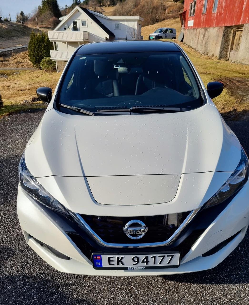 Фото - Nissan Leaf #2