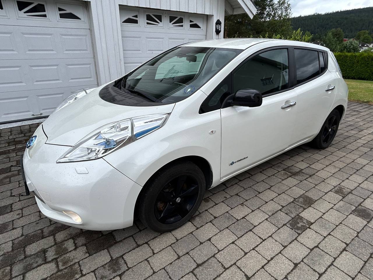 Фото - Nissan Leaf #2