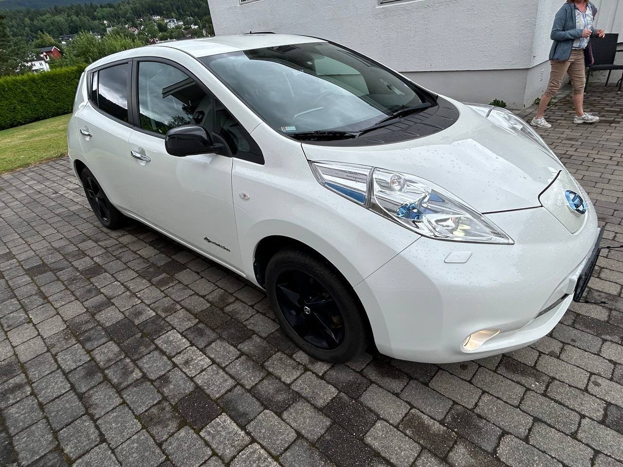Фото - Nissan Leaf #4