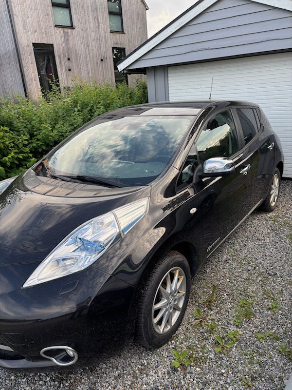 Фото - Nissan Leaf #2