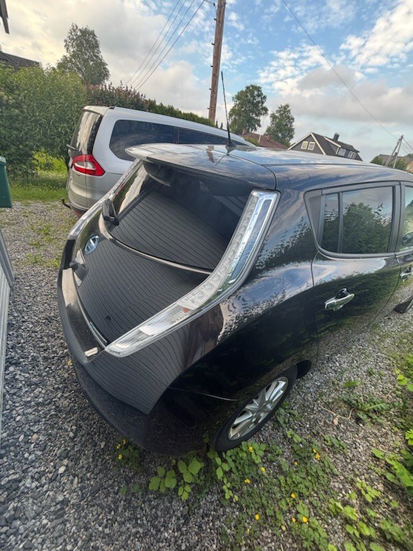 Фото - Nissan Leaf #4