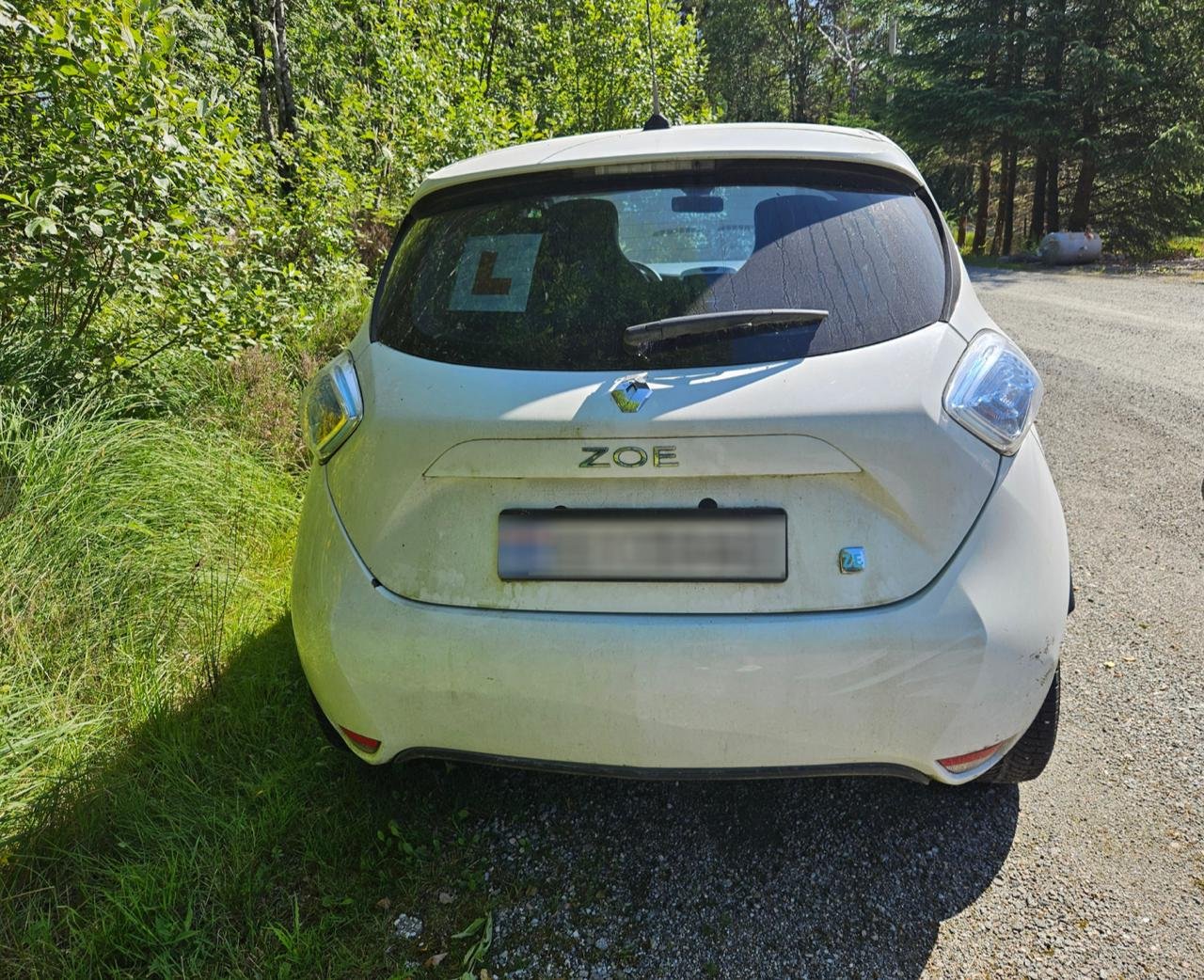 Фото - Renault ZOE #3