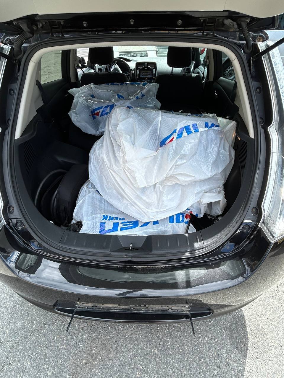 Фото - Nissan Leaf #7