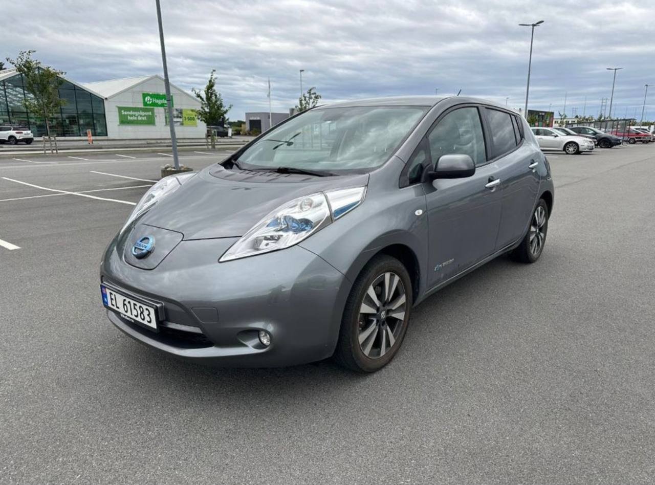 Фото - Nissan Leaf #2