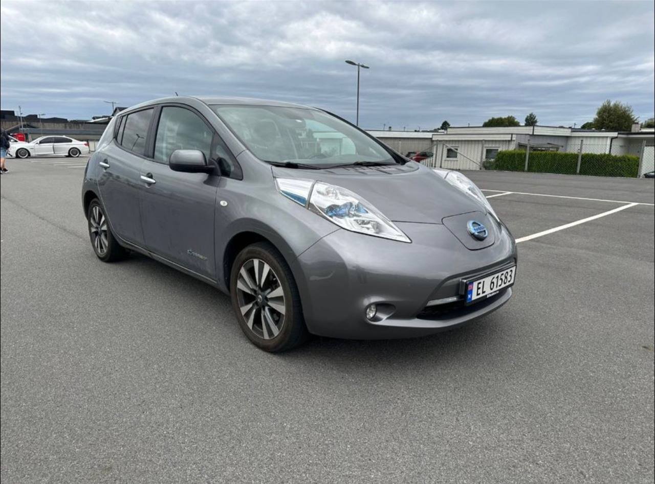 Фото - Nissan Leaf #3