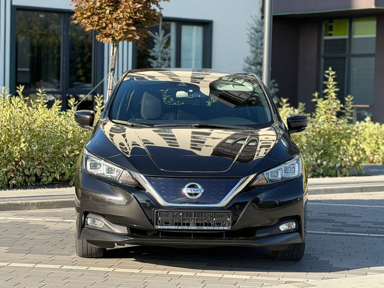 Фото - Nissan Leaf #2