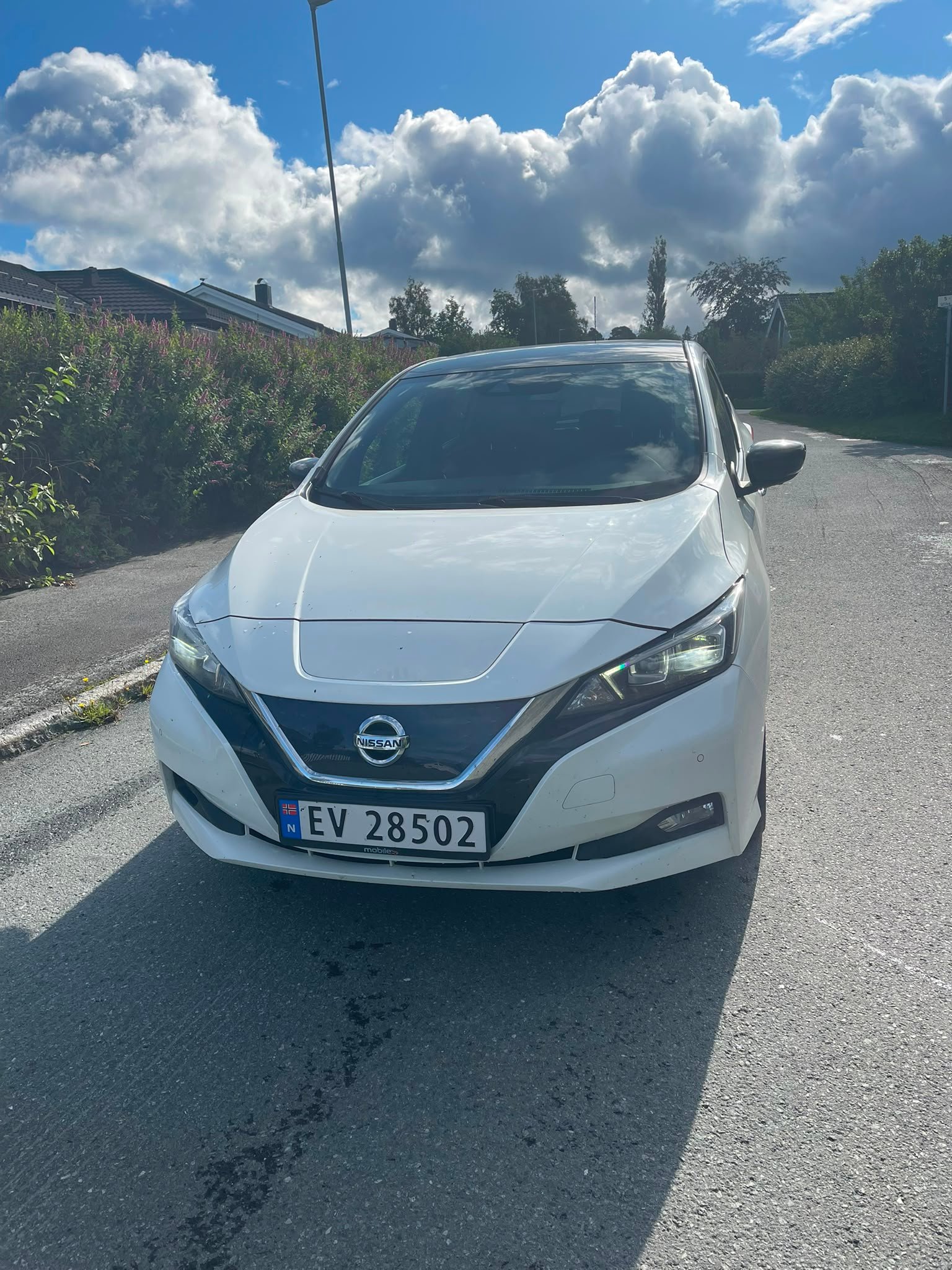 Фото - Nissan Leaf #2