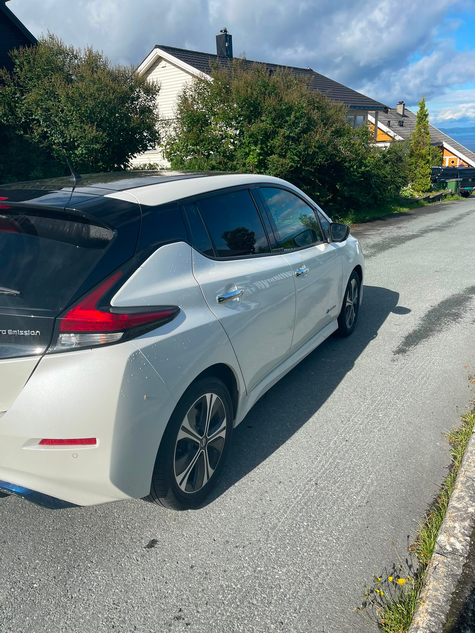 Фото - Nissan Leaf #3