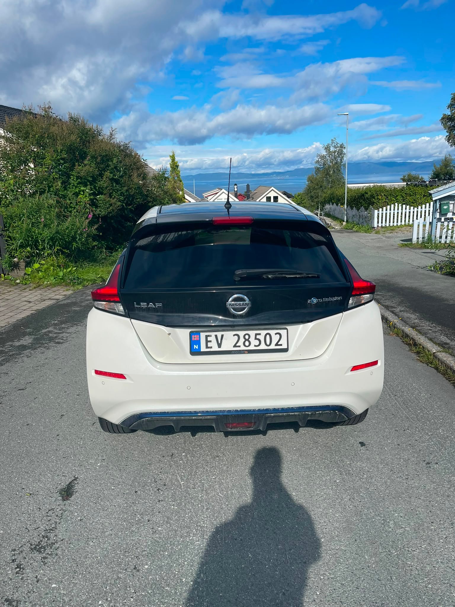 Фото - Nissan Leaf #4