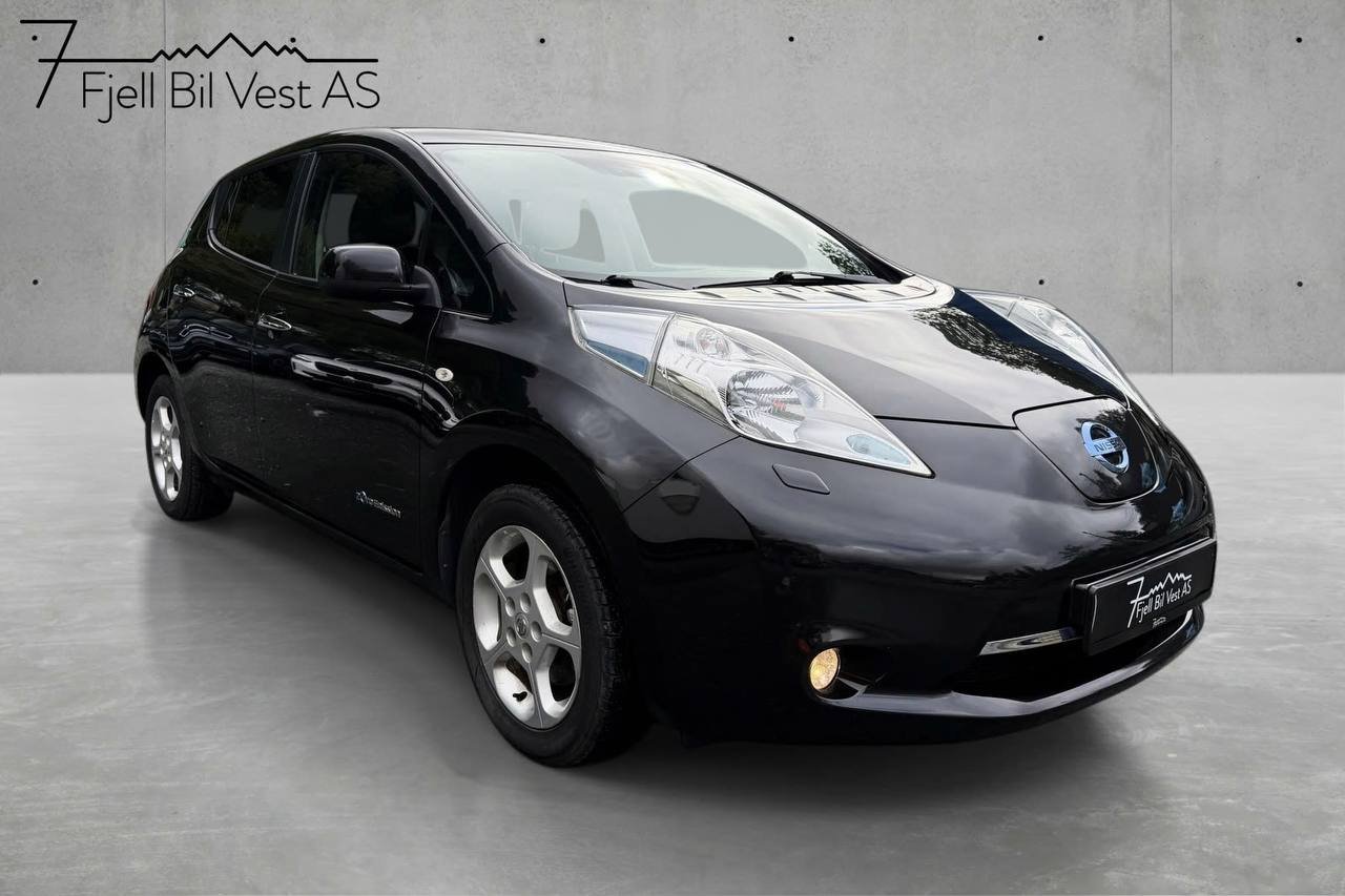 Фото - Nissan Leaf #2