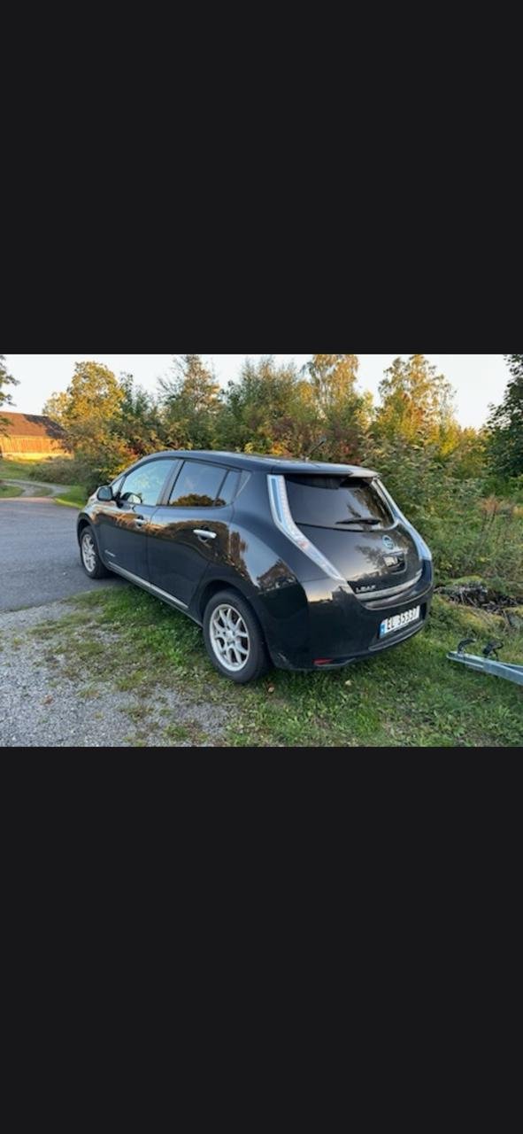 Фото - Nissan Leaf #2