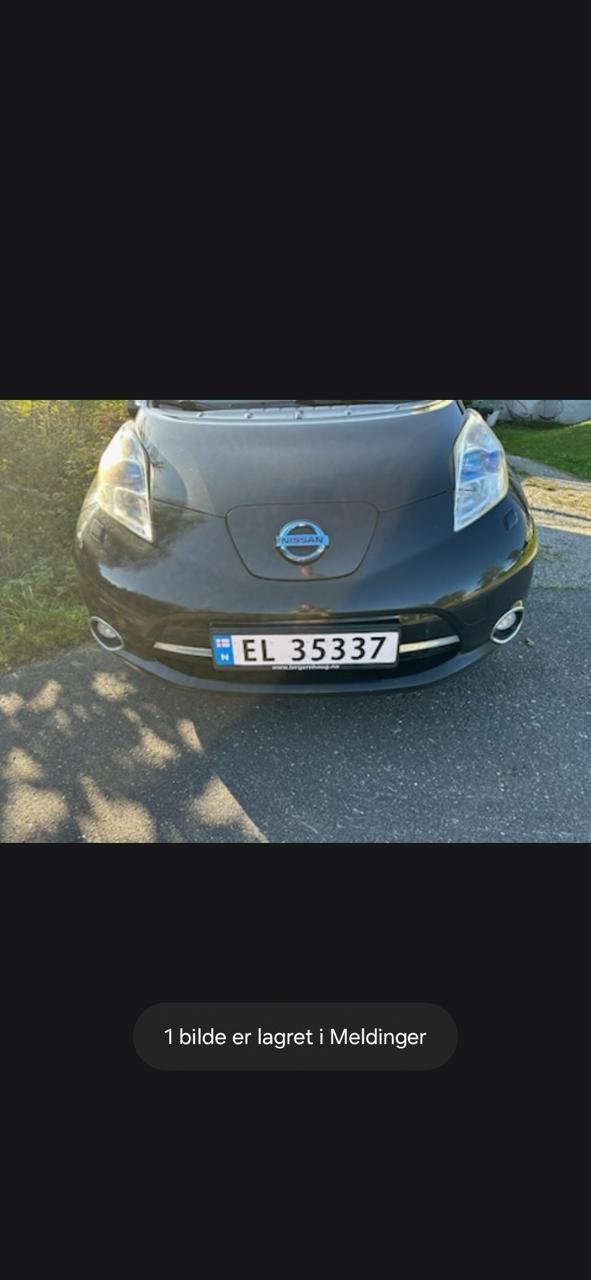 Фото - Nissan Leaf #6
