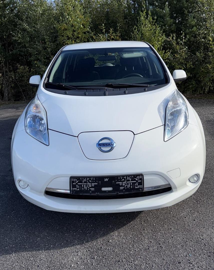 Фото - Nissan Leaf #2