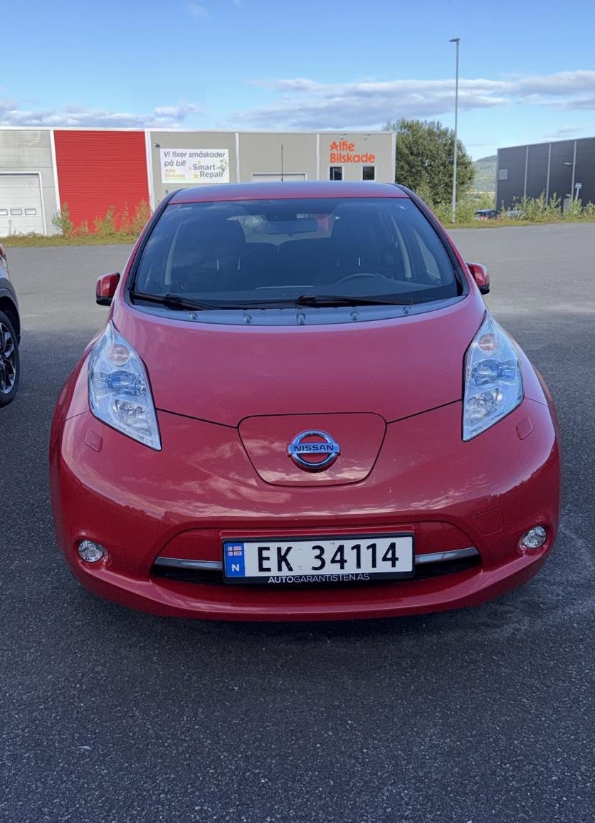 Фото - Nissan Leaf #2