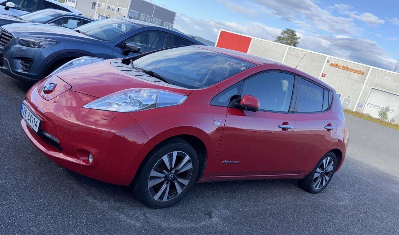 Фото - Nissan Leaf #3