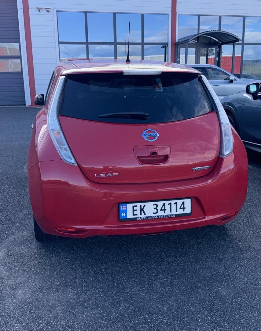 Фото - Nissan Leaf #4