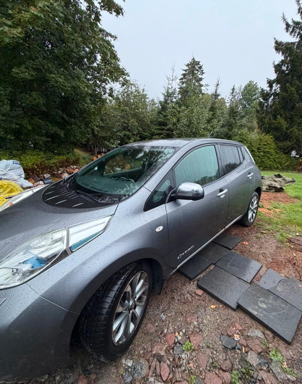 Фото - Nissan Leaf #3