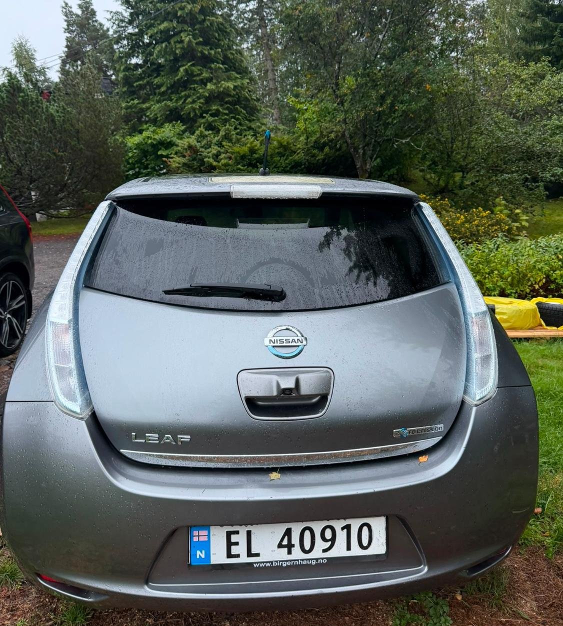 Фото - Nissan Leaf #4
