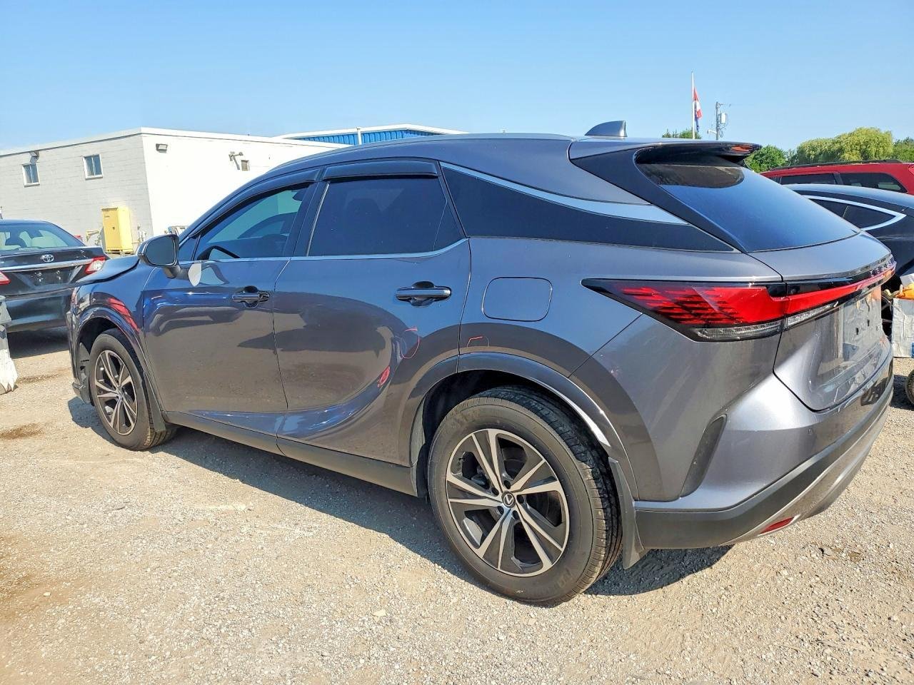 Фото - Lexus RX 2.5 HYBRID #4