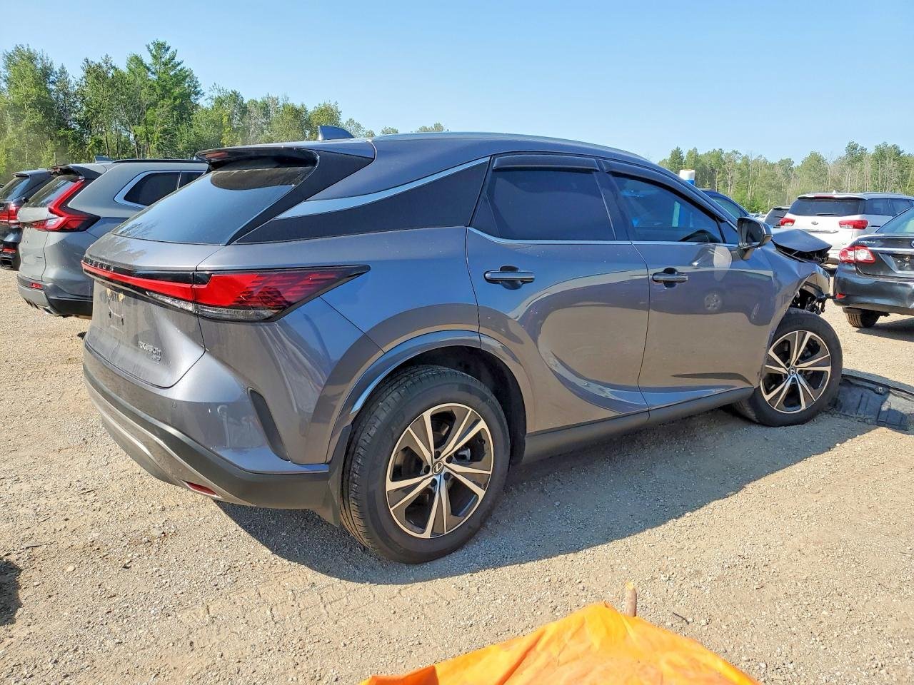 Фото - Lexus RX 2.5 HYBRID #6