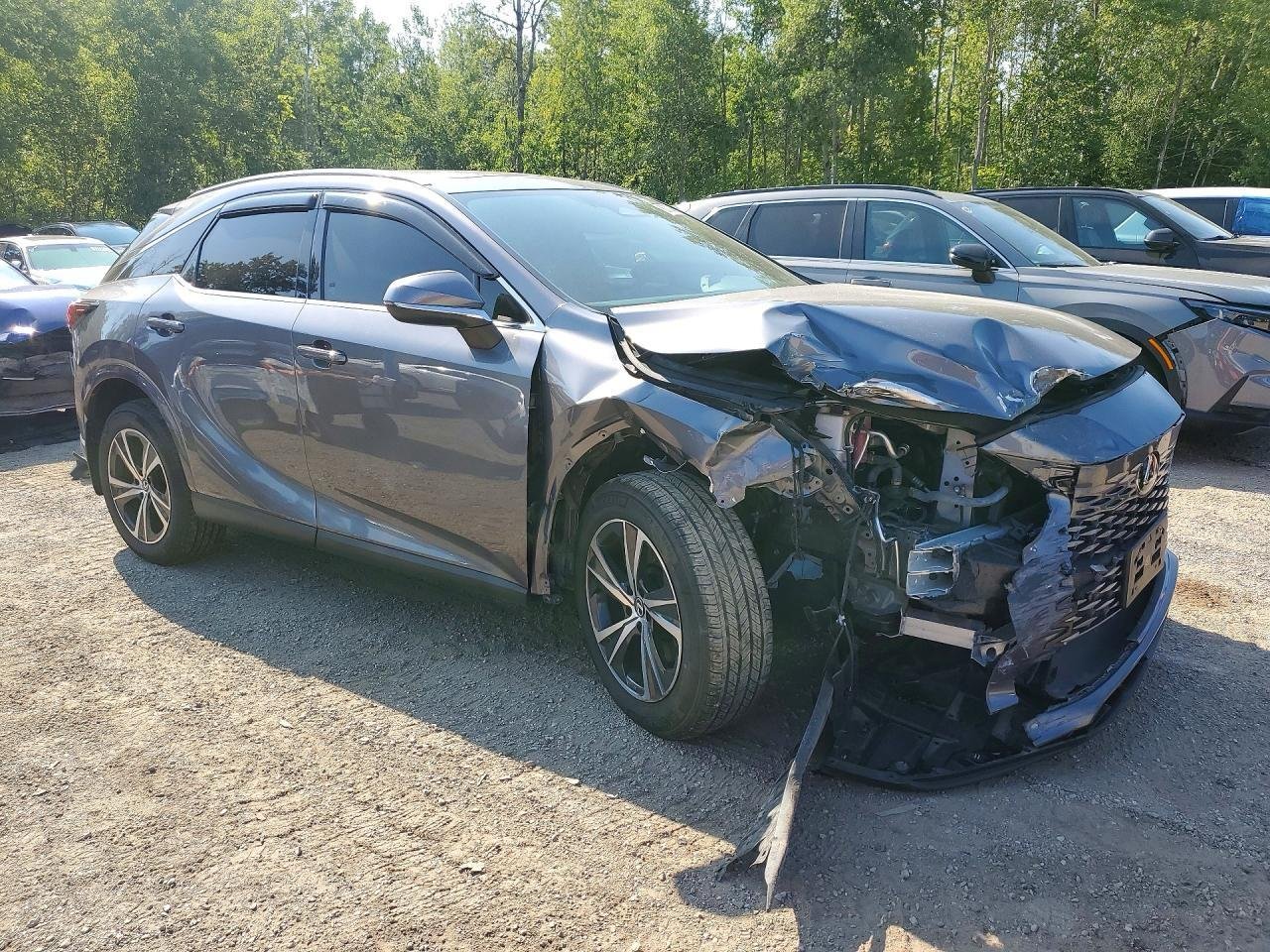 Фото - Lexus RX 2.5 HYBRID #3