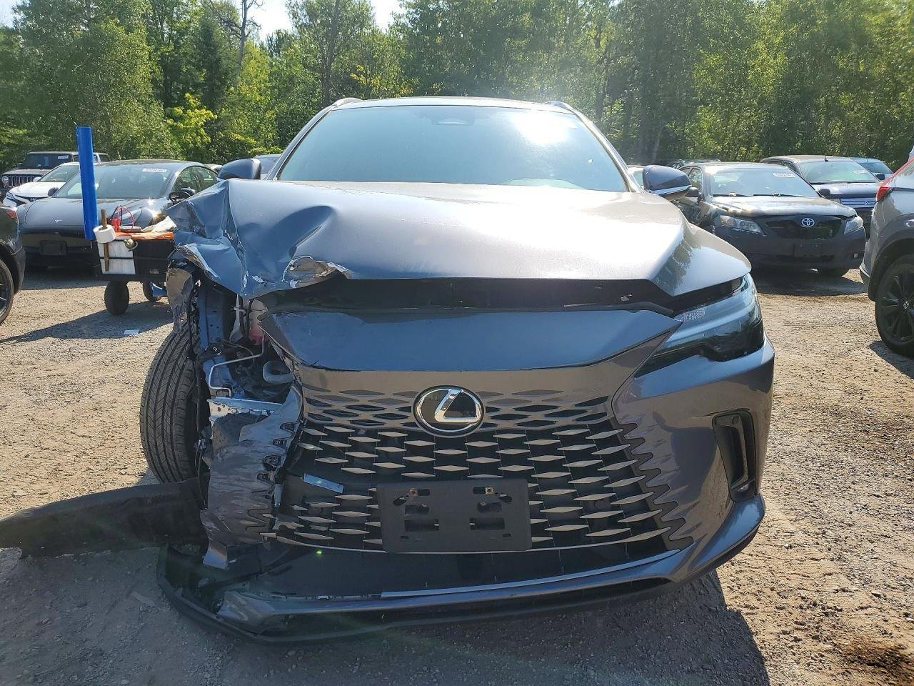 Фото - Lexus RX 2.5 HYBRID #2