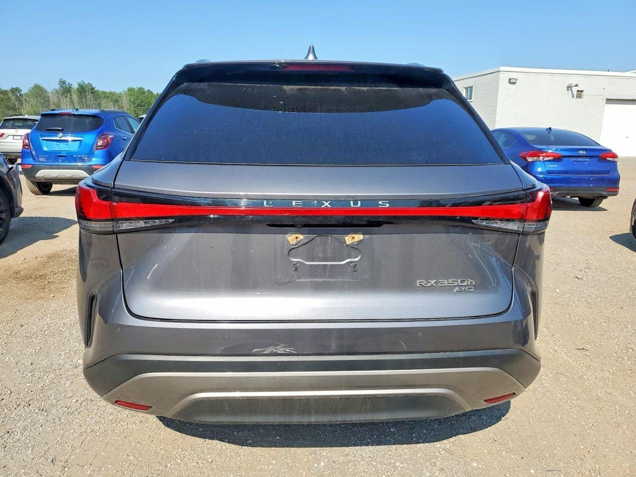 Фото - Lexus RX 2.5 HYBRID #5