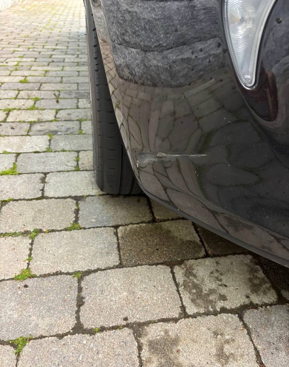 Фото - Renault ZOE #6