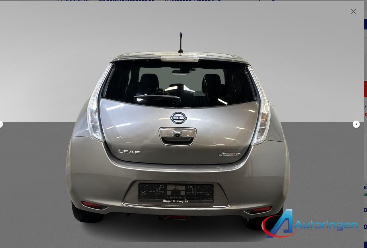 Фото - Nissan Leaf #3