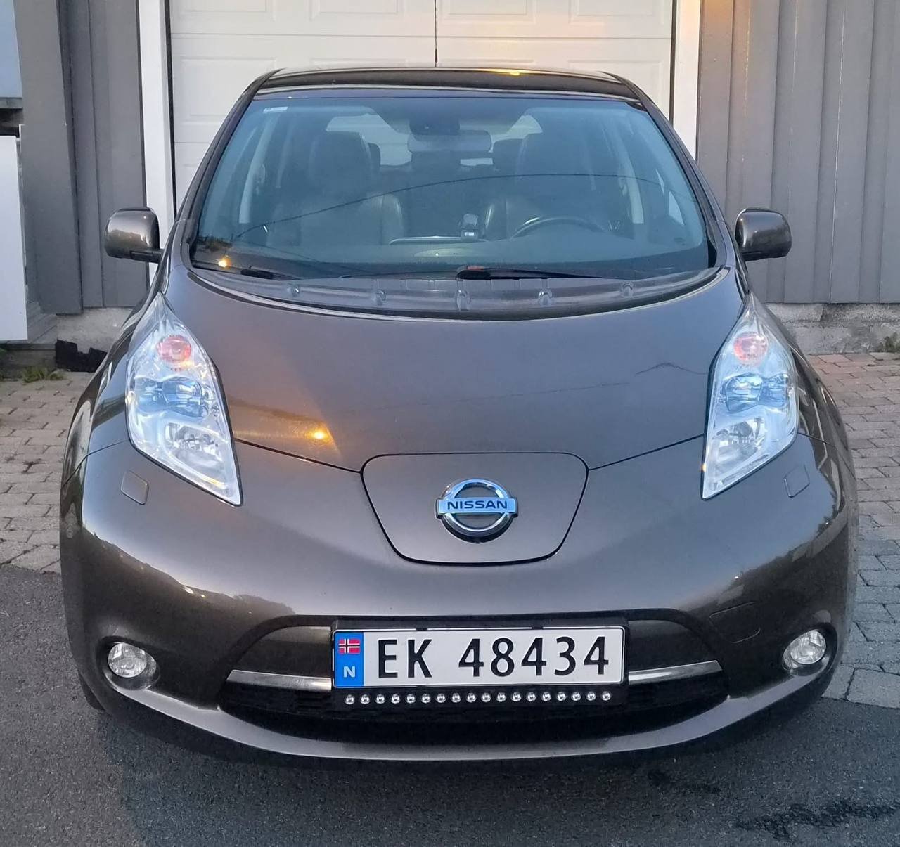 Фото - Nissan Leaf #2