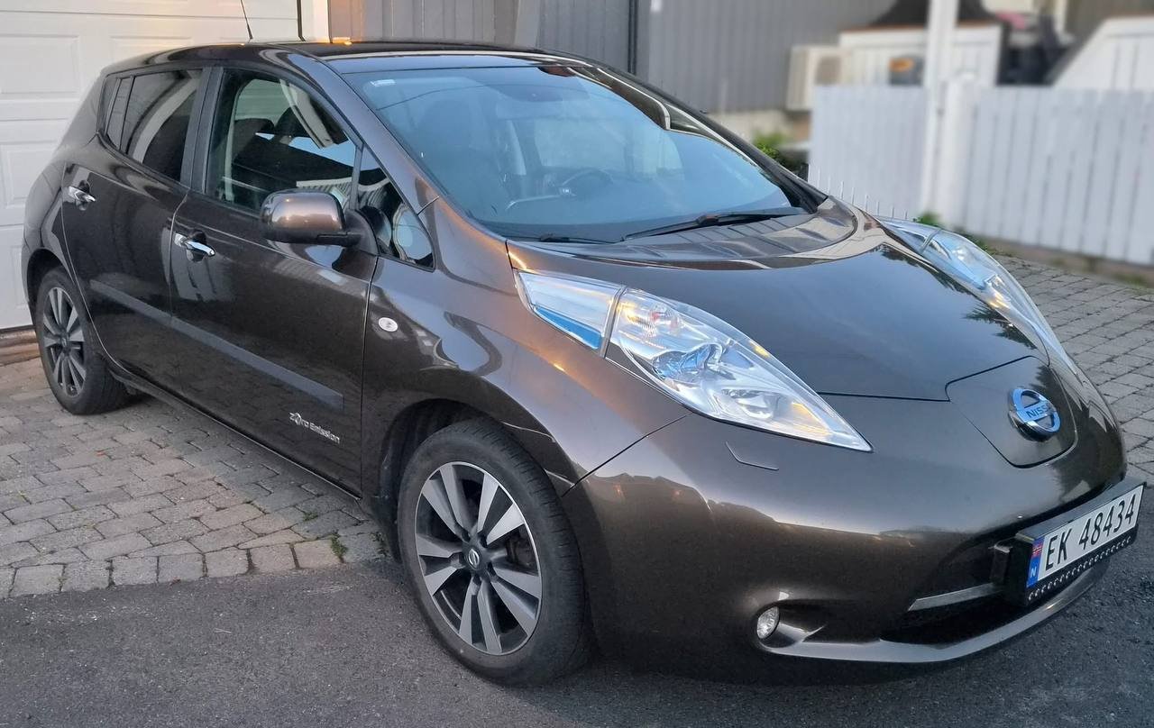 Фото - Nissan Leaf #3