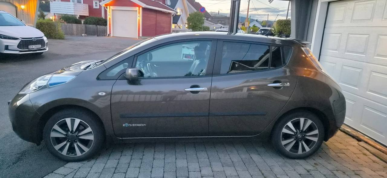 Фото - Nissan Leaf #5