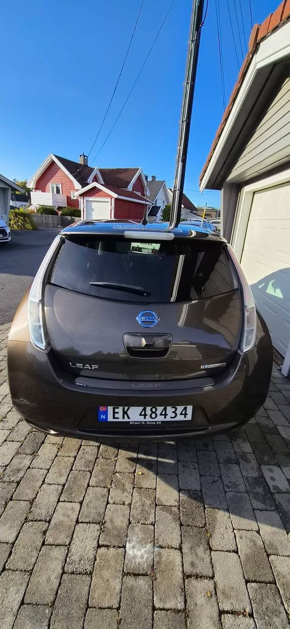 Фото - Nissan Leaf #7